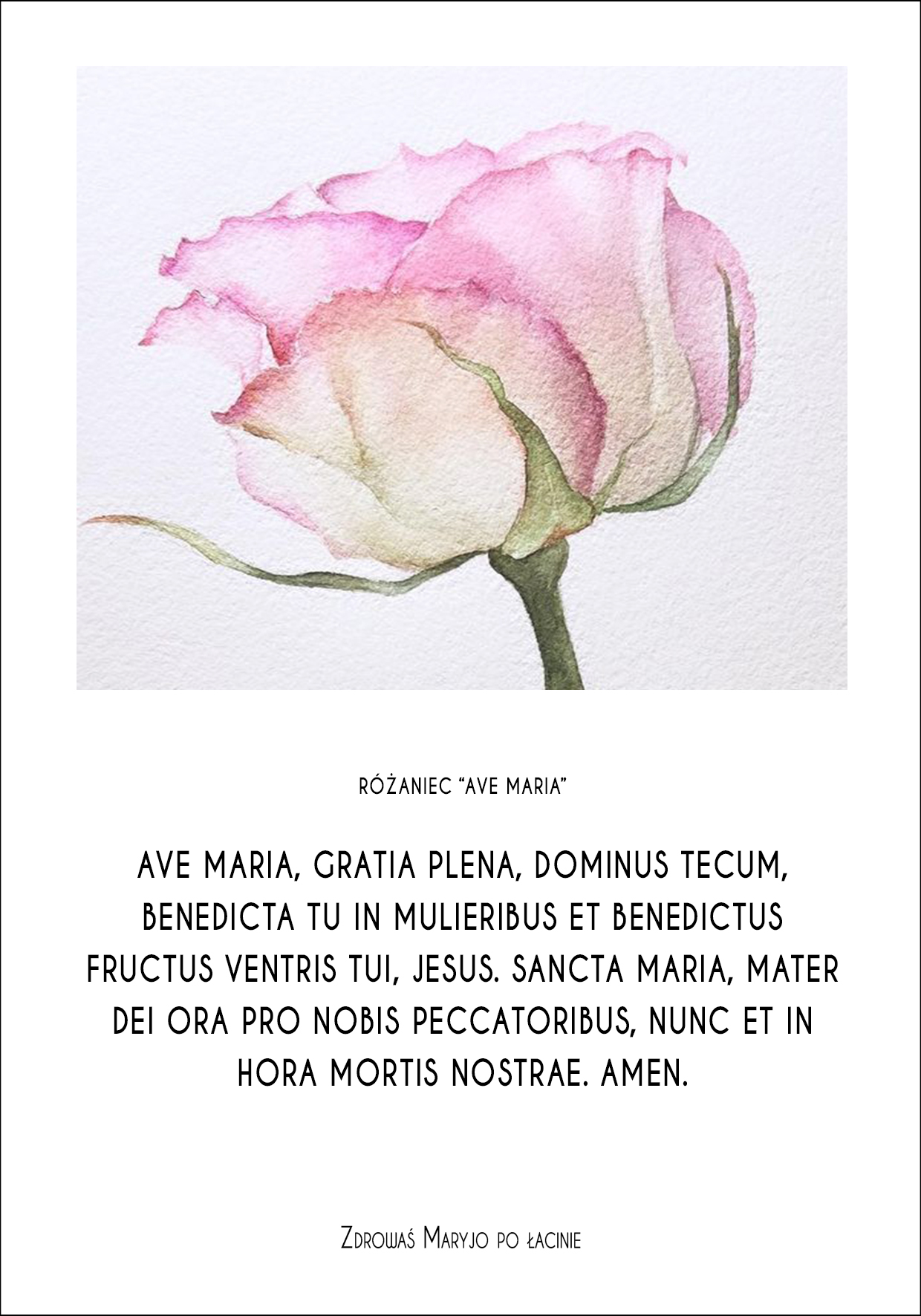 Różaniec na rękę "Ave Maria"